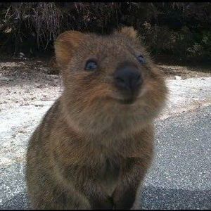 Meet your Posher, Kay